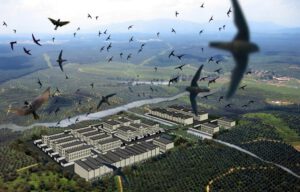 Đầu tư nhà yến bao nhiêu tiền và kinh nghiệm nuôi yến