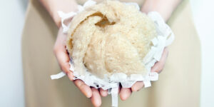 Phân biệt yến sào thật và giả trên thị trường