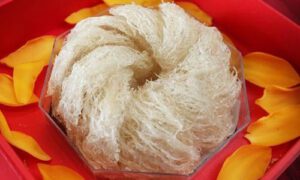 Yến sào giá nào cũng có ! Phân biệt yến sào